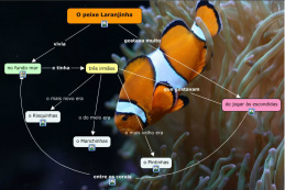 Imagem do mapa representando a história do peixe laranjinha